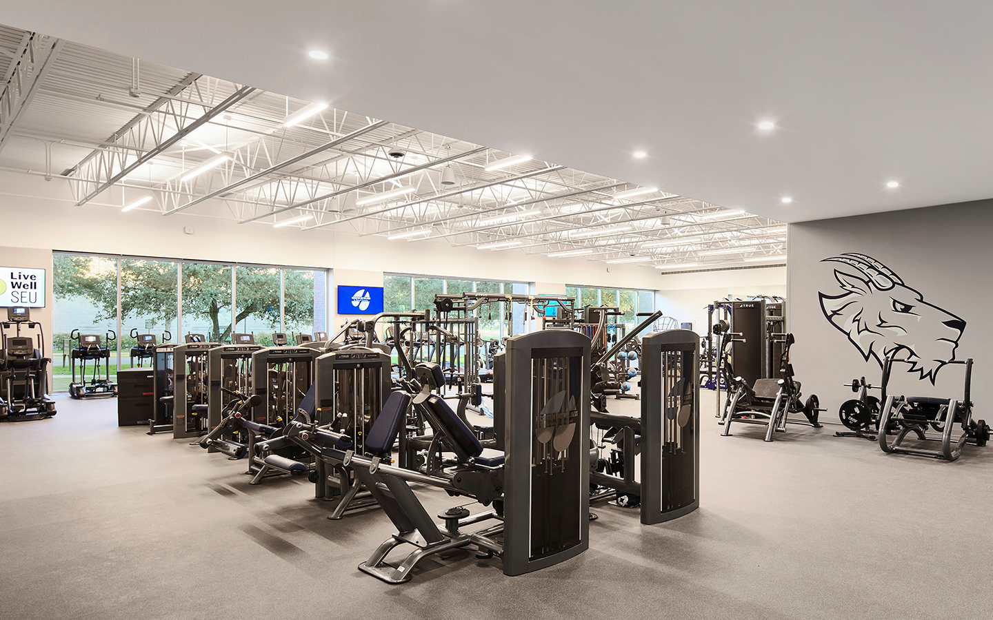 Gym facility of Recreation and Athletic Center by Specht Novak Architects. Shot by Andrea Calo.