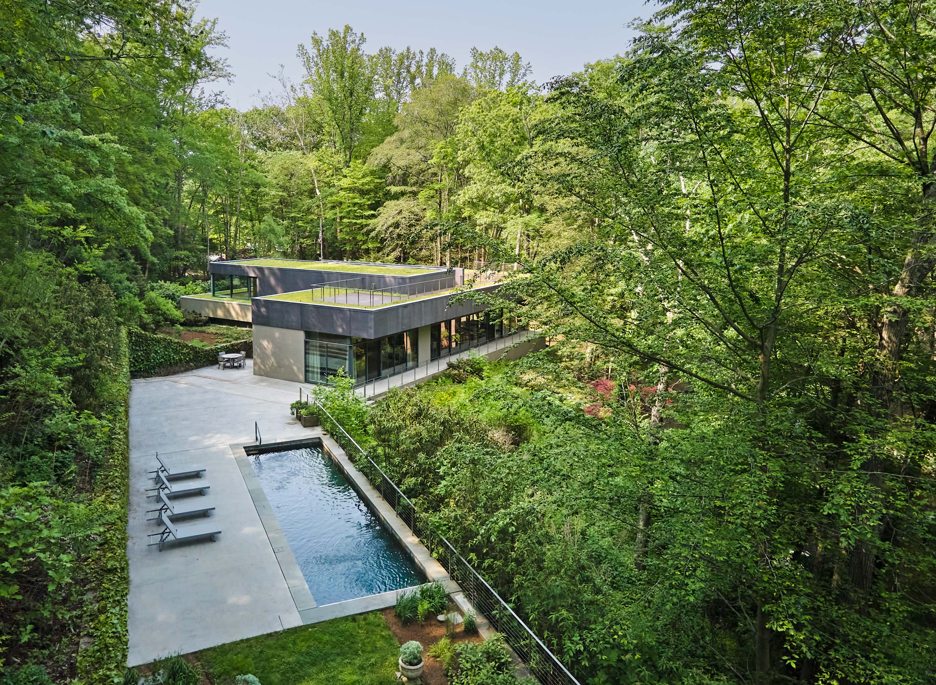 Exterior photo of Weston Residence by Specht Novak Architects. Shot by Jasper Lazor, featuring the concrete and glass house with roof gardens, and outside pool with lounging area.