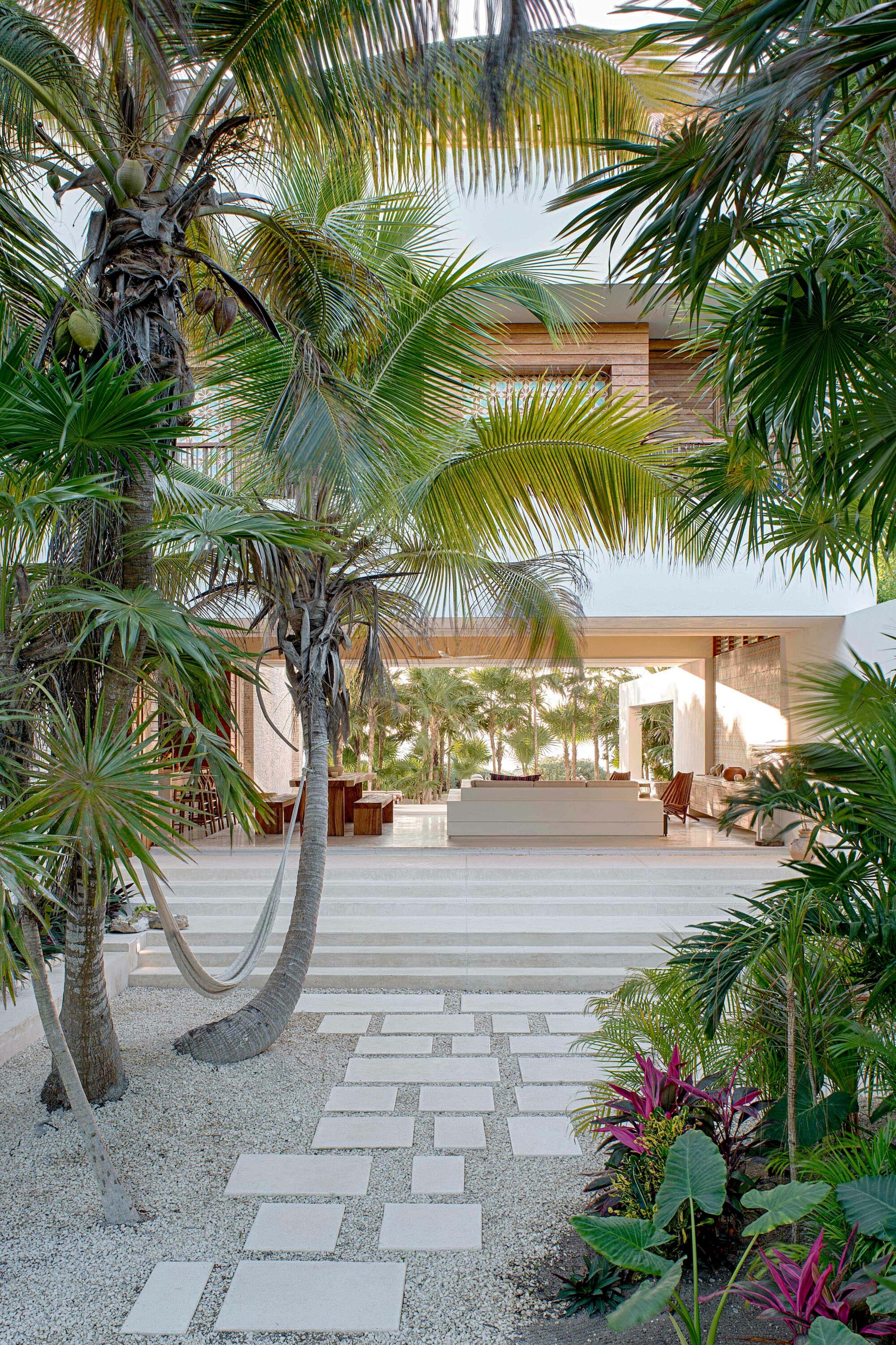Exterior photo of Casa Xixim by Specht Novak Architects. Shot by Taggart Sorensen, featuring welcoming entryway framed by palm trees into open space living area on ground level.