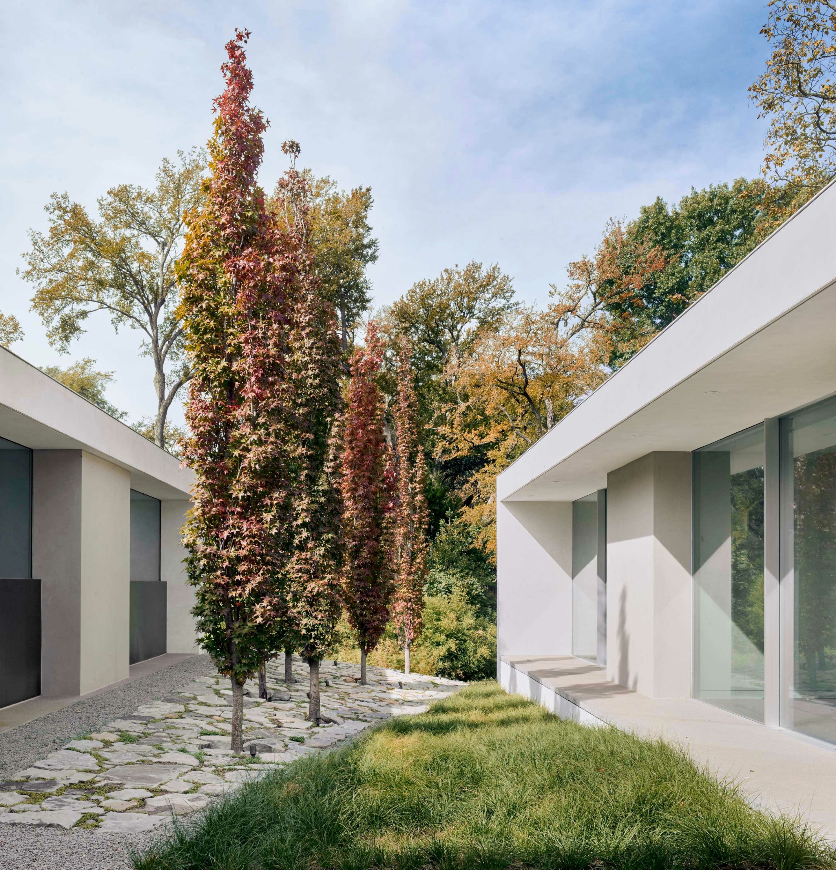 Exterior photo of the Preston Hollow Residence by Specht Novak Architects. Shot by Manolo Langis, featuring a tree garden that separates two opposite wings of the home.