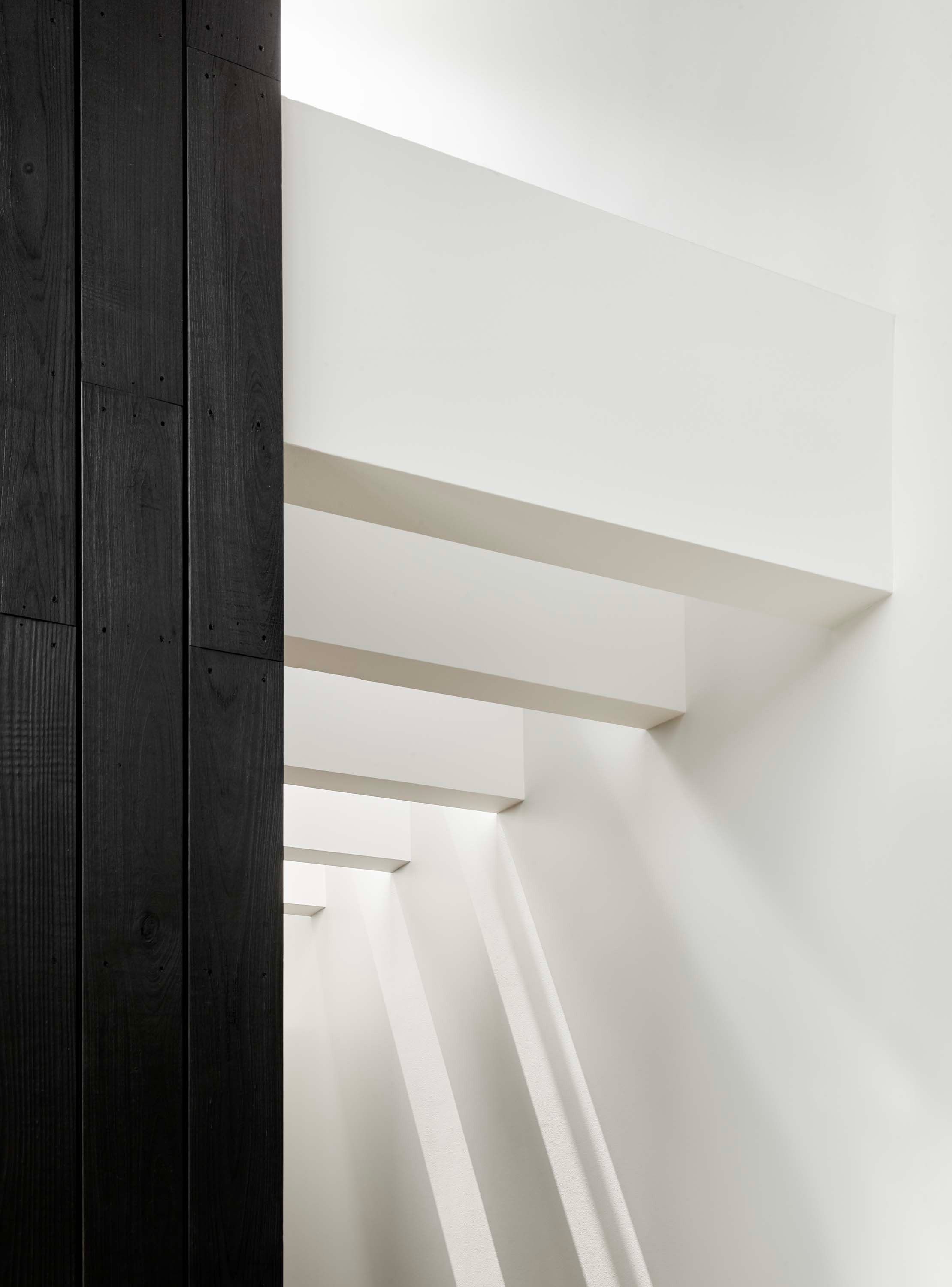 Interior photo of the Treetops House residence by Specht Novak Architects. Shot by Casey Dunn, featuring black and white details of a hallway, and showcasing how natural light enters the space.