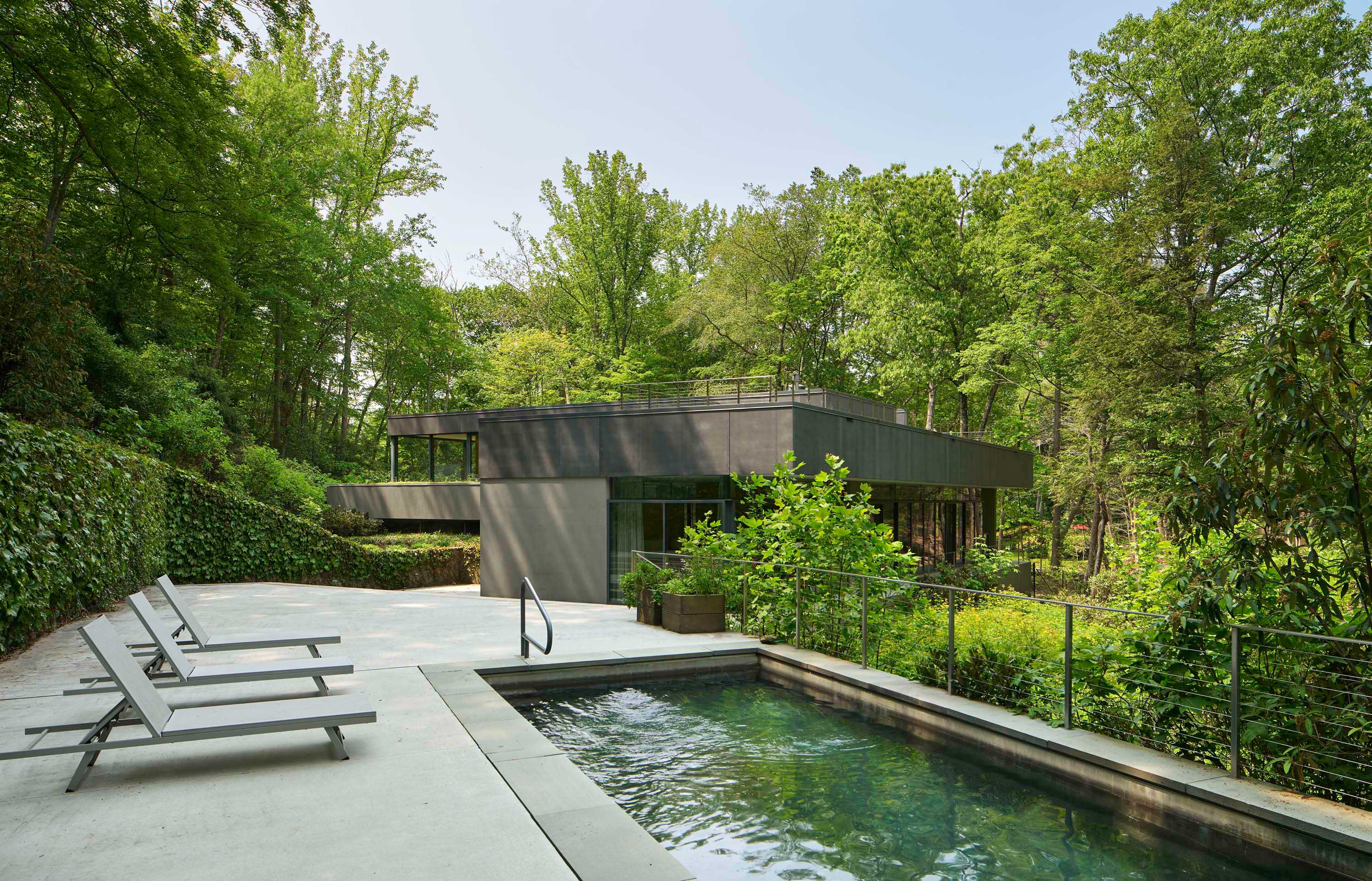 Exterior photo of Weston Residence by Specht Novak Architects. Shot by Jasper Lazor, featuring the concrete and glass home from the pool lounging area surrounded by greenery.